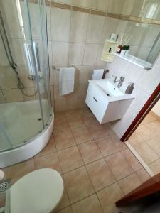 uma casa de banho com um chuveiro, um lavatório e um WC. em Kuća “Ule” Postrana em Žrnovo