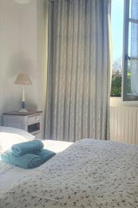 een slaapkamer met een bed met blauwe kussens en een raam bij Le Provencou in Tulette