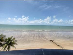 Blick auf einen Strand mit einer Palme und das Meer in der Unterkunft Apartamento Pé Na Areia - Praia do Bessa - PB in João Pessoa