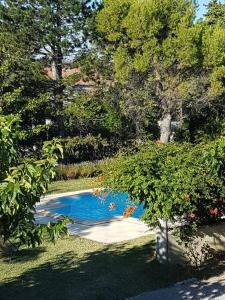 een klein zwembad in het midden van een tuin bij Le Provencou in Tulette