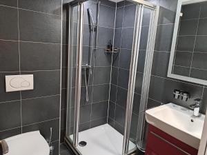 een badkamer met een douche, een toilet en een wastafel bij Haus Vitalis in Zermatt