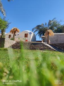 ein Haus mit Palmen und einer Steinmauer in der Unterkunft Mermaid camp in Nuweiba