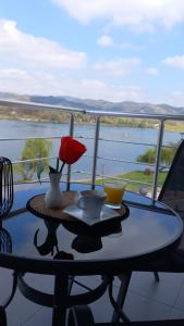 a table with a flower on top of a balcony at Lago d'argento sobe in Veliko Gradište