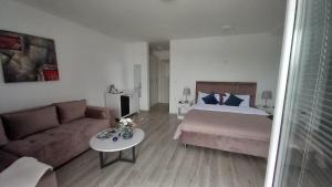 Habitación de hotel con cama y sofá en Lago d'argento sobe en Veliko Gradište