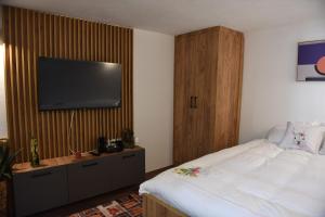 TV a/nebo společenská místnost v ubytování NeWave Apartment