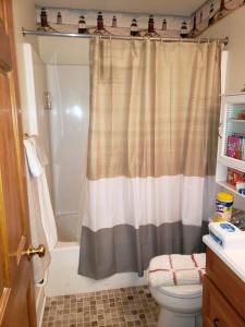 a bathroom with a shower curtain and a toilet at Front of Country shabby chic Home near Ganondagan Historic Site on 10 wooded acres in Victor