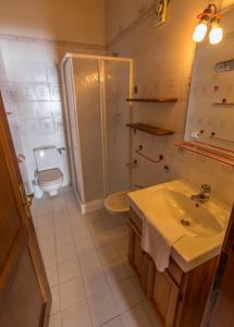 a bathroom with a sink and a toilet and a shower at Residence Borgo Al Sole in Sappada