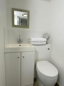 a white bathroom with a toilet and a sink at Clifton garden flat with parking in Bristol