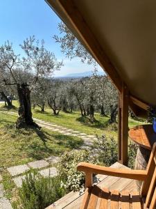 a wooden bench sitting on a porch in an orchard at GLAMPING SUITE IL GRILLO in Lamporecchio