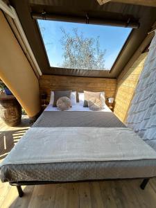 a bed in a room with a large window at GLAMPING SUITE IL GRILLO in Lamporecchio