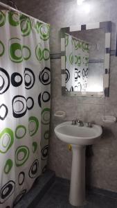 a bathroom with a sink and a shower curtain at Alquiler por día/semana in Ciudad Lujan de Cuyo