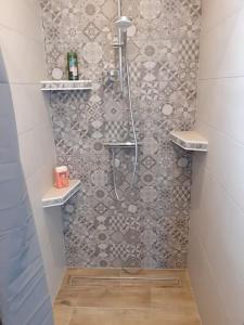een badkamer met een douche en een tegelwand bij chez Virginie et Jacky in Les Épesses