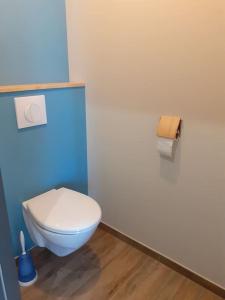 a bathroom with a white toilet in a blue wall at chez Virginie et Jacky in Les Épesses