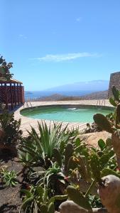 a view of a beach with green water and plants at Casa Azul in Mindelo