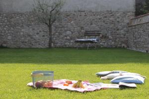 eine Picknickdecke auf dem Gras mit Obst darauf in der Unterkunft Il Giardino Segreto in Cividale del Friuli