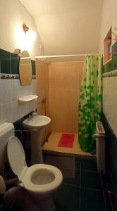 La salle de bains est pourvue de toilettes, d'un lavabo et d'une douche. dans l'établissement Casa de vacanta - Vendeghaz, à Borsec