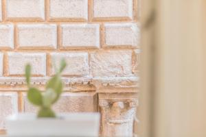 una pared de ladrillo con una planta verde delante de ella en IL VICOLO suite, en Viterbo