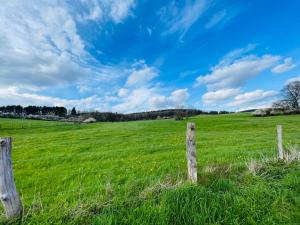 a field of green grass with a barbed wire fence at Ferienwohnung Kreuztal in Kreuztal +5 photos