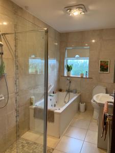 a bathroom with a shower and a tub and a sink at Bridgeview B&B in Ennis