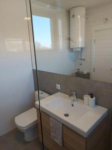 a bathroom with a sink and a toilet and a mirror at Bruka house Vrujci in Gornja Toplica