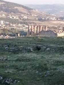 a field with a city in the background at Elegant housing in Jerash
