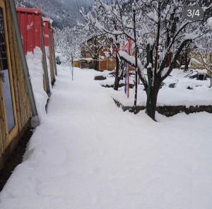 a sidewalk covered in snow next to a tree at TravelON Manali Glamping Resort in Manāli