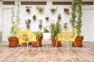un grupo de sillas y macetas en una pared en CASONA DON LUCAS en Tarapoto