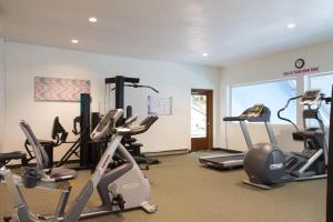 Fitness centrum a/nebo fitness zařízení v ubytování Summit Suite