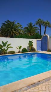 una piscina azul con palmeras en el fondo en Beachfront house,Manta Rota,Algarve en Vila Nova de Cacela