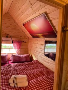 Zimmer mit einem Bett und einem großen TV an der Decke in der Unterkunft Grillkota Holzhütte in Lauenburg