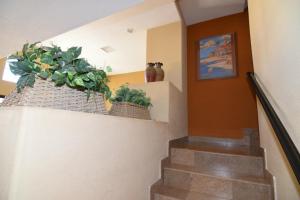 a staircase with two potted plants on a wall at Super close to the beach house for rent in San Felipe - FREE WiFi + Golf Pass in La Ponderosa +50 photos