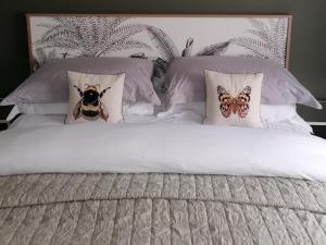 a dog sitting on top of a bed with pillows at No 12 B&B in Dungarvan