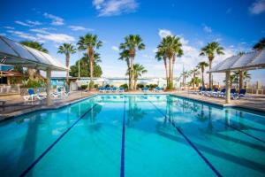 a large swimming pool with palm trees in the background at 3 bedroom rental condo in La Ventana del Mar San Felipe in San Felipe