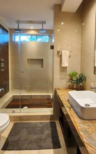 a bathroom with a shower and a sink and a toilet at Cozy 1be/1ba on 12 street gym+pool+100mbps internet in Playa del Carmen