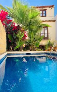 a swimming pool in front of a house with a palm tree at Boutique Hostal Lorca in Nerja