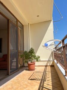 balcone con sedia e pianta in vaso di Apartament Vanesa a Vlorë