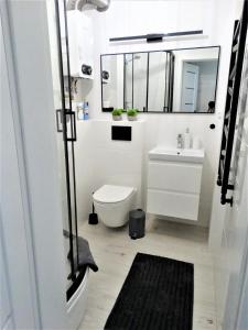 a bathroom with a toilet and a sink and a mirror at Apartament Centrum Świnoujście in Świnoujście