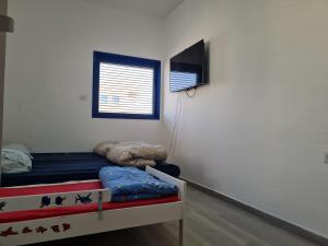 a bedroom with a bed and a tv on a wall at Yvonne Hostel Sde Boker in Midreshet Ben Gurion