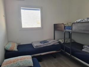 a room with three bunk beds and a window at Yvonne Hostel Sde Boker in Midreshet Ben Gurion