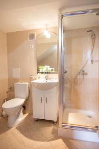 a bathroom with a toilet and a sink and a shower at Zsófia Apartman in Veszprém
