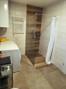 Et badeværelse på Green Apartment Cerknica