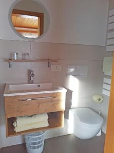 a bathroom with a sink and a toilet at Haus Meikl in Mühlbach am Hochkönig