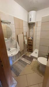 a small bathroom with a sink and a toilet at Apartman Belamaric in Šibenik