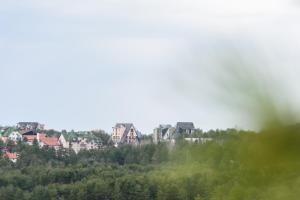 Priroda u blizini apartmana