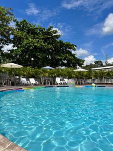une grande piscine bleue avec des chaises et des parasols dans l'établissement Hotel TACALOA INN EXPERIENCE, à Ricaurte