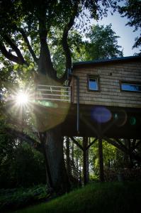 una casa del árbol con el sol brillando en ella en Strazdu Ligzda Off grid treehouse, en Meņģele