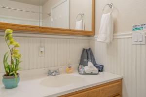 - un comptoir de salle de bains avec un lavabo et un sac dans l'établissement The Family Executive Inn, à Fairbanks