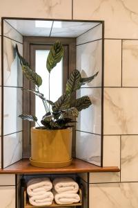 a potted plant sitting on a shelf in front of a mirror at The Apartment @ Tremfan Hall in Llanbedrog