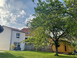 a tree in a yard next to a white house at Gite Au sauna de l’Aubach in Scherwiller