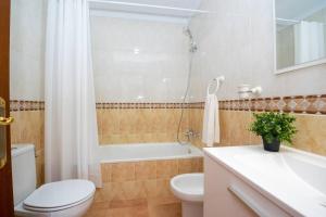 a bathroom with a toilet and a sink and a shower at Bonito apartamento en Frigiliana in Frigiliana +4 photos